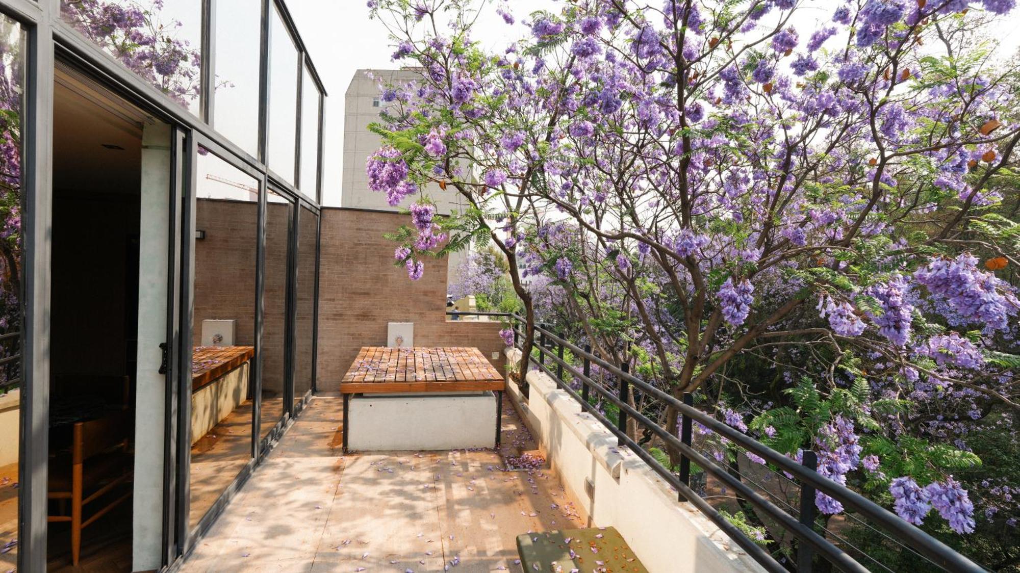 Rodona Hotel Mexiko-Stadt Exterior foto